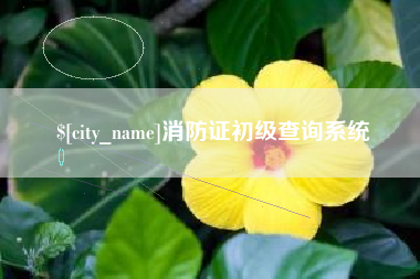 东台消防证初级查询系统
