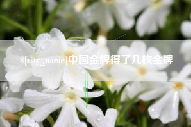东台中国金牌得了几枚金牌
