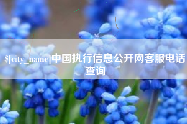 东台中国执行信息公开网客服电话查询