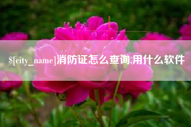 东台消防证怎么查询,用什么软件