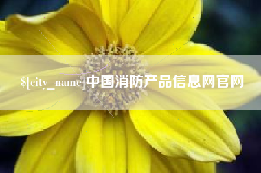 东台中国消防产品信息网官网