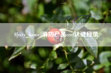 东台消防产品cccf认证目录