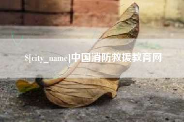 东台中国消防救援教育网