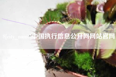 东台中国执行信息公开网网站官网