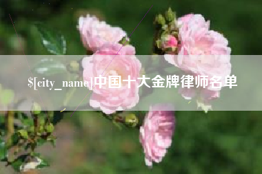 东台中国十大金牌律师名单