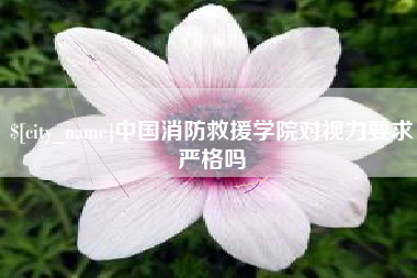 东台中国消防救援学院对视力要求严格吗