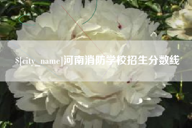 东台河南消防学校招生分数线