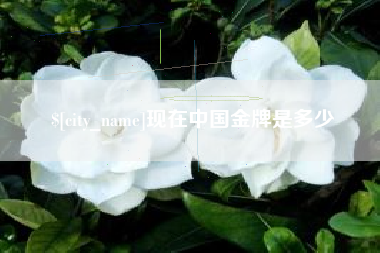 东台现在中国金牌是多少