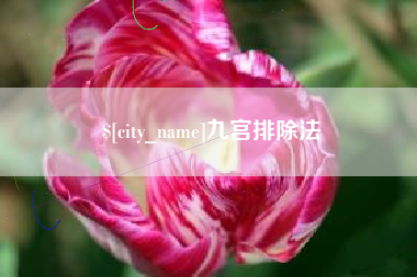 东台九宫排除法
