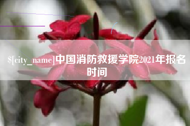 东台中国消防救援学院2021年报名时间