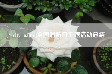 东台全国消防日主题活动总结