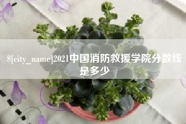 东台2021中国消防救援学院分数线是多少