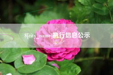 东台执行信息公示