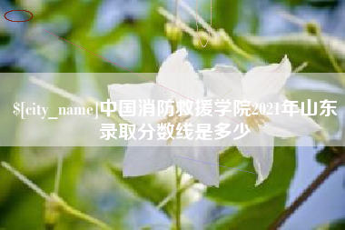东台中国消防救援学院2021年山东录取分数线是多少