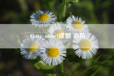 东台成都 消防