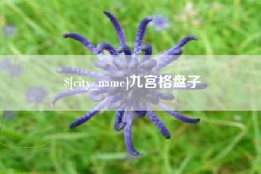 东台九宫格盘子