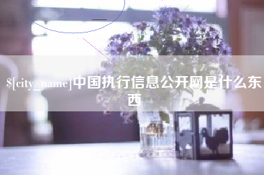 东台中国执行信息公开网是什么东西
