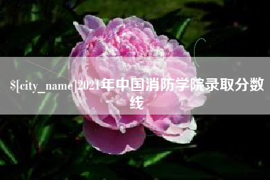 东台2021年中国消防学院录取分数线
