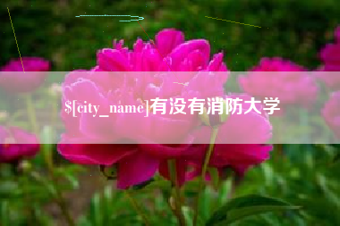 东台有没有消防大学