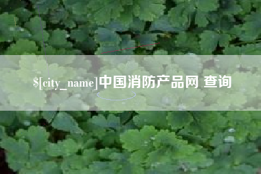 东台中国消防产品网 查询