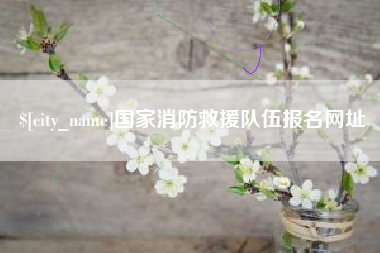 东台国家消防救援队伍报名网址