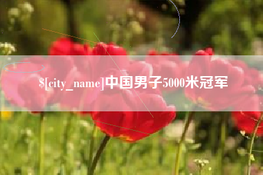 东台中国男子5000米冠军
