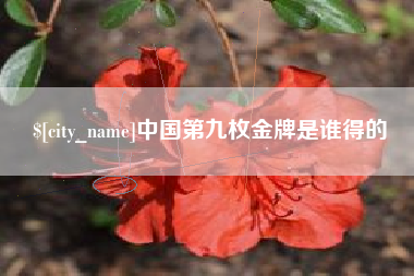 东台中国第九枚金牌是谁得的