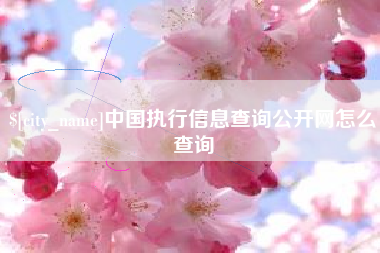东台中国执行信息查询公开网怎么查询