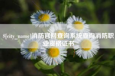 东台消防官网查询系统查询消防职业资格证书