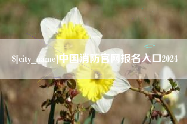 东台中国消防官网报名入口2024
