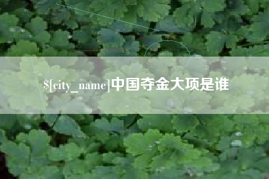 东台中国夺金大项是谁