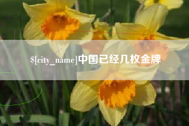 东台中国已经几枚金牌