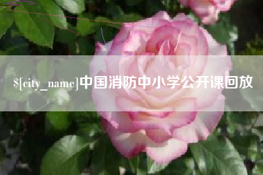 东台中国消防中小学公开课回放