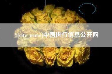 东台中国执行信息公开网