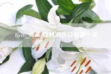 东台森林消防日是哪一天