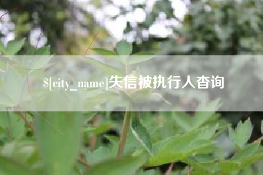 东台失信被执行人杳询
