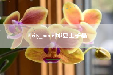 东台邱县王子磊
