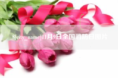 东台11月9日全国消防日图片