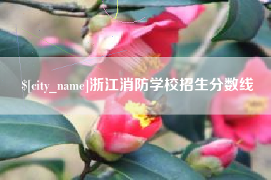 东台浙江消防学校招生分数线