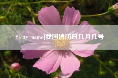 东台我国消防日几月几号