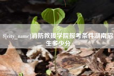 东台消防救援学院报考条件湖南招生多少分