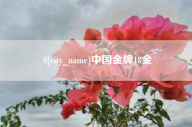 东台中国金牌18金