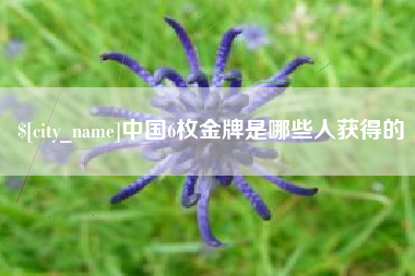 东台中国6枚金牌是哪些人获得的