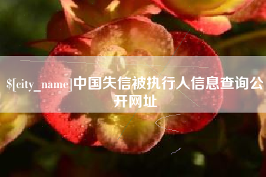东台中国失信被执行人信息查询公开网址