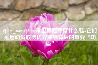 东台5000米世界冠军穿什么鞋-它们是运动员取得优异成绩背后的重要“功臣”
