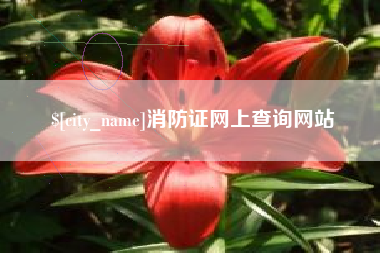 东台消防证网上查询网站