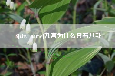 东台九宫为什么只有八卦