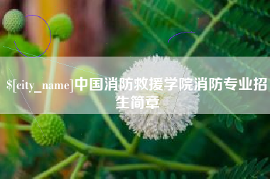 东台中国消防救援学院消防专业招生简章