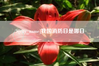 东台我国消防日是哪日