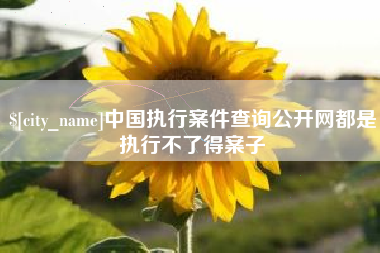 东台中国执行案件查询公开网都是执行不了得案子